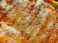 Enchiladas Smothered in Cheese Mexican Food