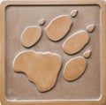 Photo of Engraving of lion footprint