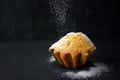 A photo of falling powder sugar on the handmade muffin. Sweet tasty cake on the dark background. Homemade cupcake with powdered su Royalty Free Stock Photo