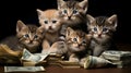 photo of family cats sitting in pile dollars bills