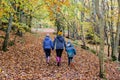 A photo of a family of three walking away through an autumnal woodland setting. Royalty Free Stock Photo