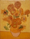 Photo of the famous original painting: `Sunflowers` by Vincent Van Gogh. Frameless. Royalty Free Stock Photo