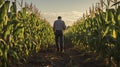 A Photo of a Farmer Inspecting Rows of Corn in a Field