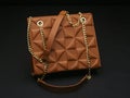 Elegant brown and gold leather fashion wallet. bag