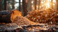 Renewable Energy: Stack of Biomass Wood Pellets and Woodpile Background Royalty Free Stock Photo
