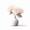 Pink Peonies In Minimalist Ceramic Vase On White Background