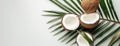 Fresh Coconuts and Leaves on White Background Royalty Free Stock Photo