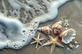 Seashells and Starfish on Sandy Beach Royalty Free Stock Photo