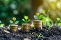 A photo featuring three stacks of coins with various plants growing out of them in a neat arrangement, An interpretation of growth