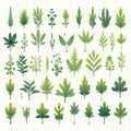 Minimalistic Vector Collection Of Diverse Leaf And Herb Compositions