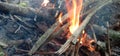 Photo of a fire burning wood used to boil water