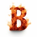 Luxury Fire Letter B In Reductionist Style