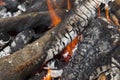 Fire on logs Royalty Free Stock Photo