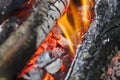 Fire on logs Royalty Free Stock Photo