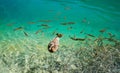 Photo of fishes and duck swimming in a lake, taken in the national park Plitvice, Croatia Royalty Free Stock Photo