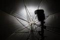 Photo flash with umbrella for studio lighting. Royalty Free Stock Photo