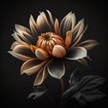 Photo of flower on black background. Beautiful flower on a plain background