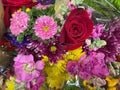 Flowers for a Gift or Special Occasion