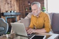 Photo of focused concentrated aged person sit on couch look use laptop write working from home indoors