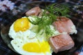 Mashed potatoes with fried sausage and fried egg in a plate Royalty Free Stock Photo