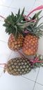 Photo food tropical fruit pineapple