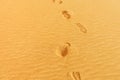 Photo of footprints on the sand of a desert in the United Arab E