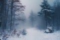 A photo of a forest with snow-covered trees and a blanket of snow on the ground, Blizzard obscuring a forest landscape, AI Royalty Free Stock Photo