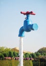 Photo of Fountain in the Park Flowers. Dubai Miracle Garden. Royalty Free Stock Photo