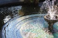 Fountain with spouting water in a botanic garden