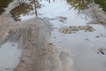 Photo of a fragment of a destroyed road with large puddles in rainy weathe Royalty Free Stock Photo