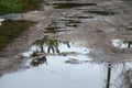 Photo of a fragment of a destroyed road with large puddles in rainy weathe