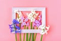 photo frame and bouquet of spring flowers of white and lilac hyacinths isolated on pink background Top view Flat lay Holiday card