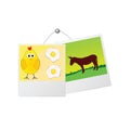 Photo frame with cute donkey and the chicken