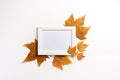 Photo frame, dried leaves on white background. Autumn, fall, concept