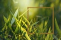 Photo frame with fresh green grass in early morning. Royalty Free Stock Photo