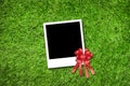 Photo frame on grass Royalty Free Stock Photo