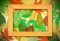 Photo frame over leaves background Royalty Free Stock Photo