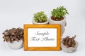Photo frame plants in flower pots