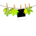 Photo frame on rope with clothespins and green leaves vector background Royalty Free Stock Photo