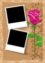 Photo frame and rose