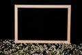 Photo frame and small white flowers on a black background. The white flowers of the gypsophila lie in a row Royalty Free Stock Photo