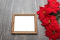 Photo frame surrounded by poinsettia flowers, canes and pinwheels as a Christmas prayer for a Christmas message