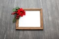 Photo frame surrounded by poinsettia flowers, canes and pinwheels as a Christmas prayer for a Christmas message