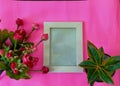 Photo frame, tulip flower and aglonema plant on pink background