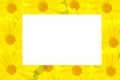 Photo frame with white copy space.Calendula. Flowers of marigold. Cute photo frame. Christmas frame. Place for text