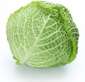 Photo of fresh cabbage Royalty Free Stock Photo