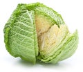 Photo of fresh cabbage. Royalty Free Stock Photo