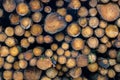 Wood Stack Royalty Free Stock Photo