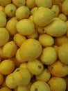 Photo of fresh lemon pile