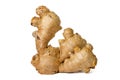 Photo of fresh raw fresh gingers taken with a high-resolution camera using the focus-stacking technique on a white background Royalty Free Stock Photo